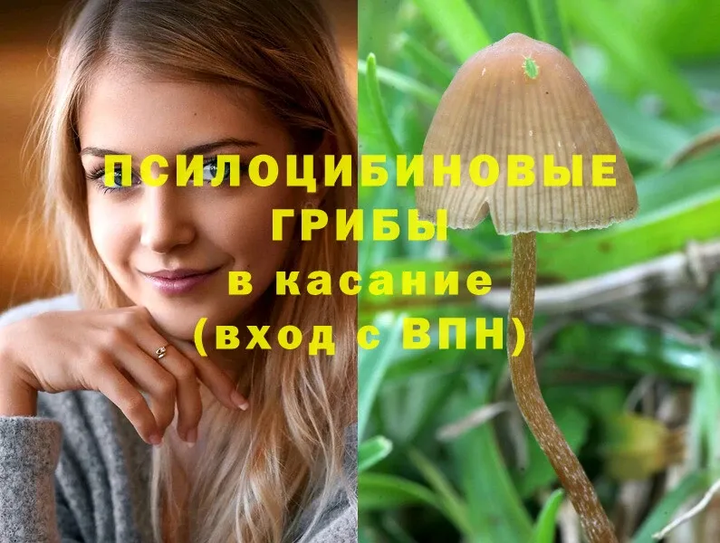 Галлюциногенные грибы MAGIC MUSHROOMS  гидра вход  Верхнеуральск 